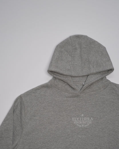 Artemis Oversized Grey Hoodie